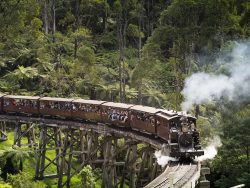Professional Holiday Rental Management in the Dandenong Ranges and Yarra Valley