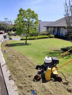 How Does Core Aeration Lawn Treatment Work?