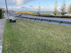 Why Invest in a Lawn Core Aerator Service?