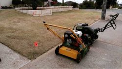 What’s the Best Approach to Cutting Buffalo Grass?