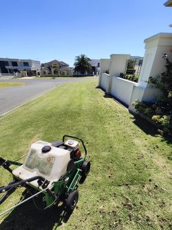 Where Can You Find Professional Lawn Vertimowing Perth Services?