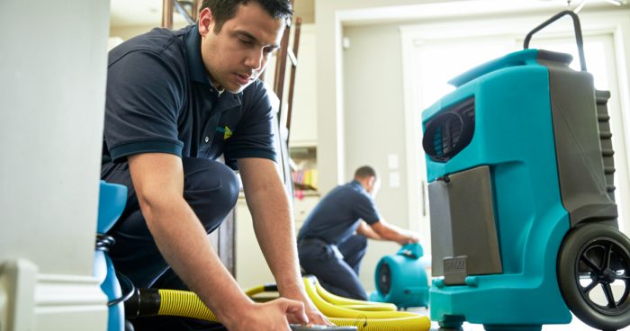 How Do Professionals Handle Water Damage Repair?