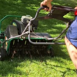 How Can Lawn Rejuvenation Improve the Health of Your Grass?