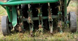 Why Is Lawn Dethatching Important for Healthy Grass?