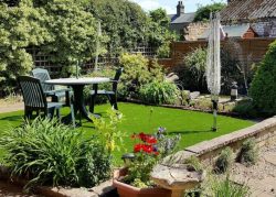 Why Include Lawn Care Scarifying in Your Maintenance Routine?