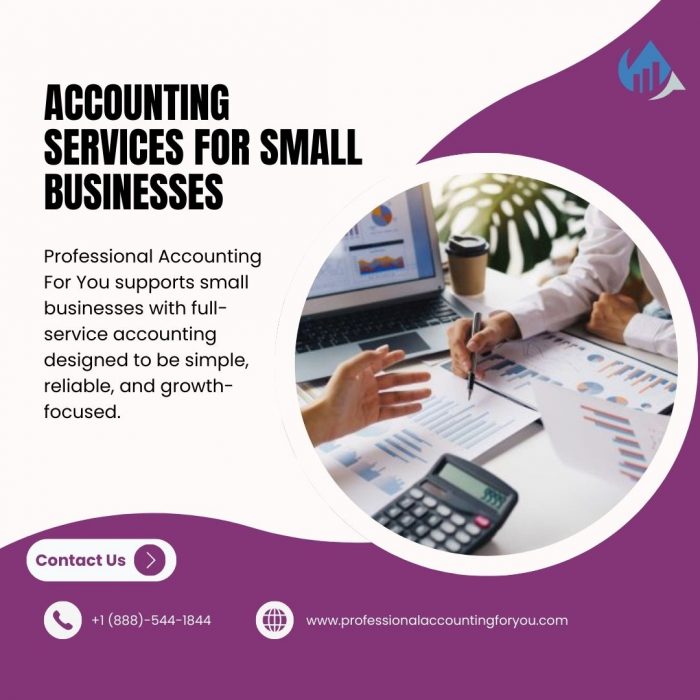 Accounting Services for Small Businesses