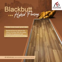 Blackbutt Hybrid Flooring in Perth