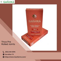 Buy Handcrafted Thca Pre Rolled Joints Online – TazoFarms