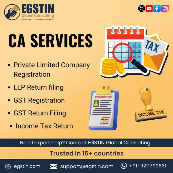 CA Services By EGSTIN Global Consultants