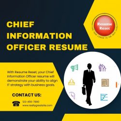 Chief Information Officer Resume
