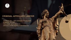 Criminal Appellate Lawyer – Appeal Lawyer