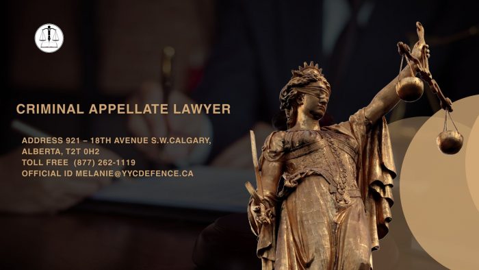 Criminal Appellate Lawyer – Appeal Lawyer