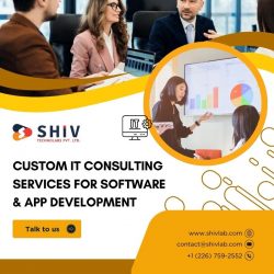 Tailored IT Consulting Services by Shiv Technolabs