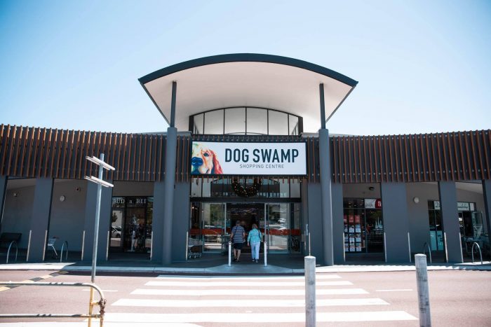 Prime Investment: Dog Swamp Shopping & Williamtown Aerospace