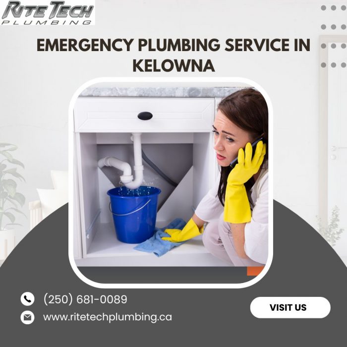https://www.ritetechplumbing.ca/plumbing-kelowna/emergency-plumbing/