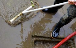 Is Sewage Backup Cleanup Covered by Insurance?