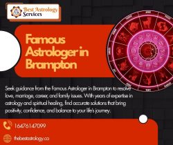 Famous Astrologer in Brampton – Renowned Star Reader, Horoscope Master, Life Guide