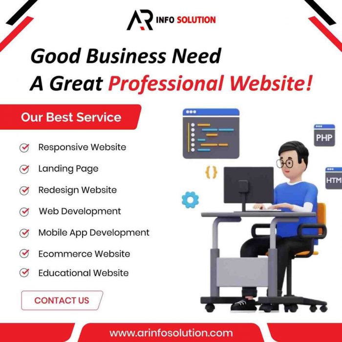 professional-web-development-company-jaipur-ar-info-solution