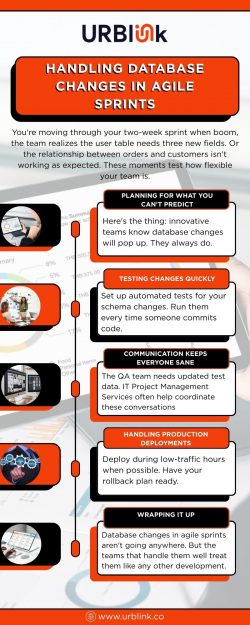 Expert Database Management Services for Secure Data Handling | URBlink LLC