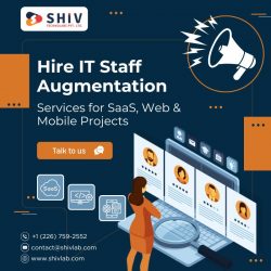On-Demand IT Staff Augmentation by Shiv Technolabs