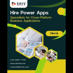 Hire Skilled Power Apps Developers by Shiv Technolabs