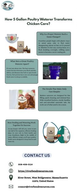 How 5 Gallon Poultry Waterer Transforms Chicken Care?