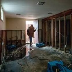 Common Mistakes to Avoid During Flood Damage Cleanup