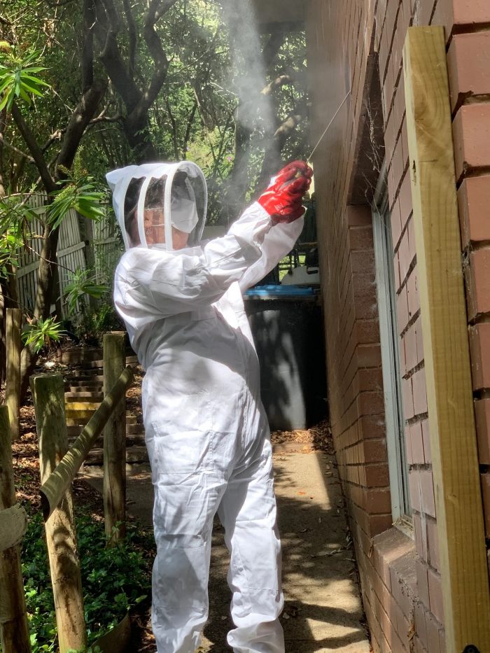 Vanish Pest Control Toronto