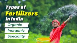 Discover the types of Fertilisers in India