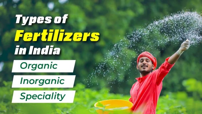 Discover the types of Fertilisers in India