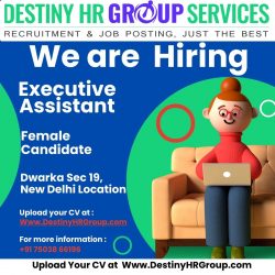 Leading IT Consultancy in Gurgaon & Recruitment Experts