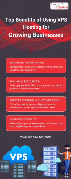 Top Benefits of Using VPS Hosting for Growing Businesses