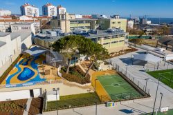 The European Magazine: Executive Education & Foreign Direct Insights