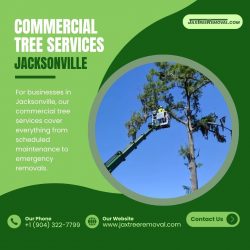 Commercial Tree Services Jacksonville