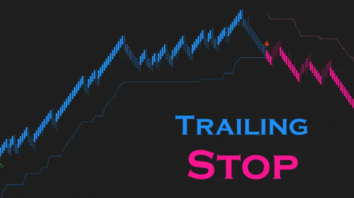 Trade Smarter with NinjaTrader Trailing Stop
