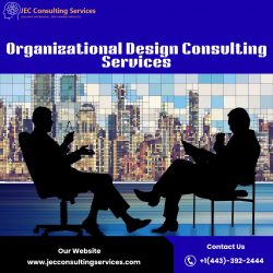 Organizational Design Consulting Services