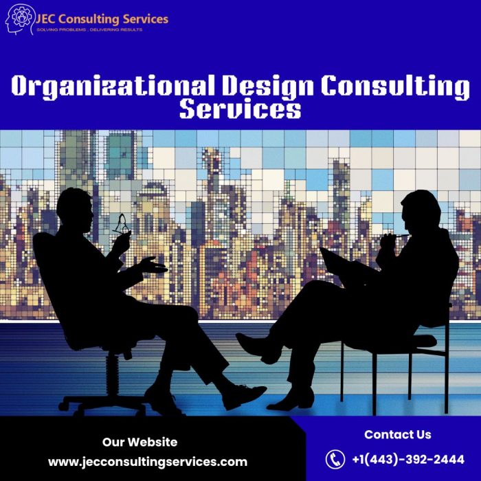 Organizational Design Consulting Services