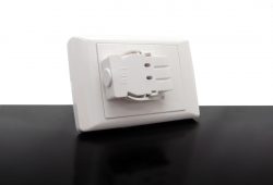 Starter Plate – Single