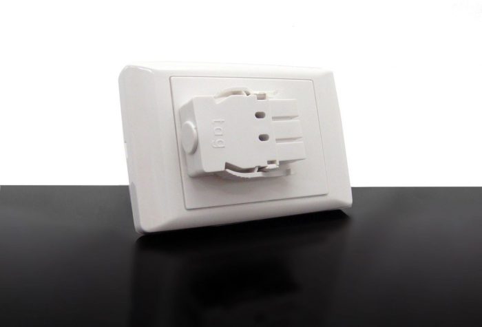 Starter Plate – Single