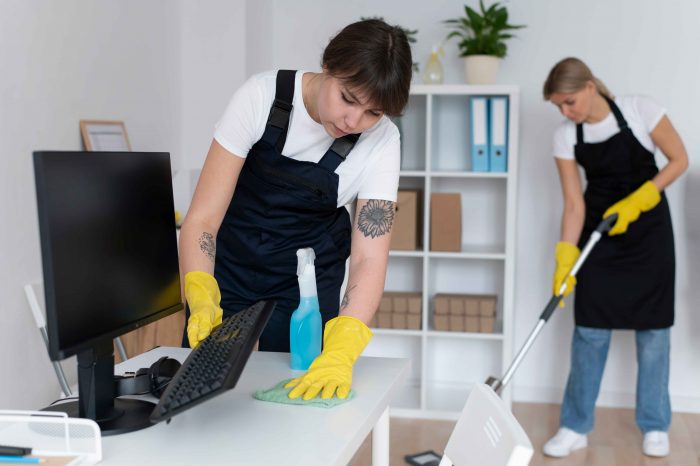 Professional Home Help in Delhi