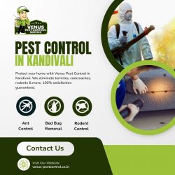 Pest Control in Kandivali – Venus Pest Control Service