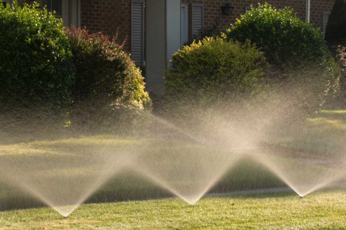 ProYards Landscape & Maintenance – Lawn Care in Salt Lake City
