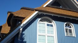 Trusted Residential Painters Melbourne – Orchid House Painters