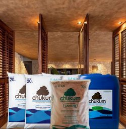 Chukum – Eco Friendly Plaster Supplier in USA Delivering Sustainable Building Solutions