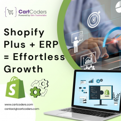Shopify Plus + ERP = Effortless Growth