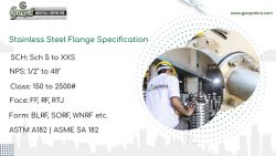 Best Stainless Steel Flanges Manufacturer in India