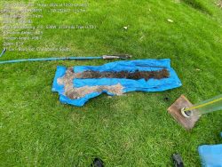 Ensuring Sustainable Development with Professional Land Capability Assessments in Victoria