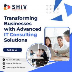Comprehensive IT Consulting Services by Shiv Technolabs