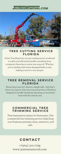 Tree Removal Service Florida