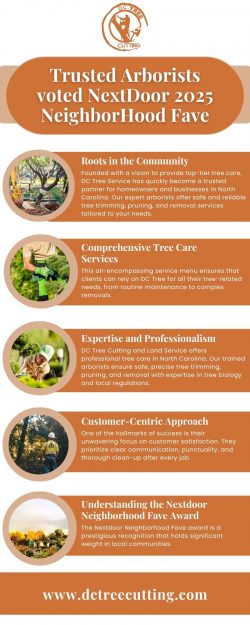 Professional Tree Care Services in North Carolina | DC Tree Cutting